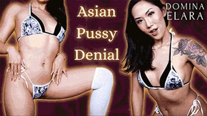 Asian Pussy Denial