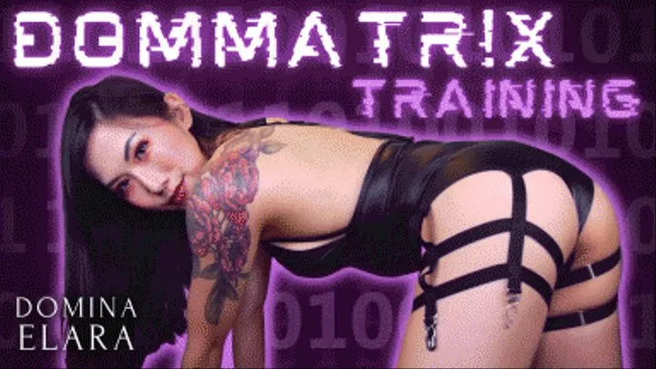 The DomMatr!x Training