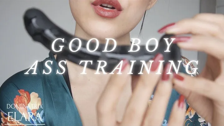 Good Boy Ass Training