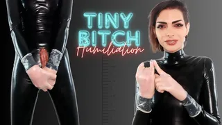 Tiny Bitch Humiliation