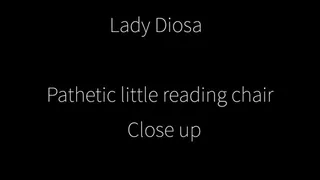 Lady Diosa's pathetic little reading chair CLOSE UP