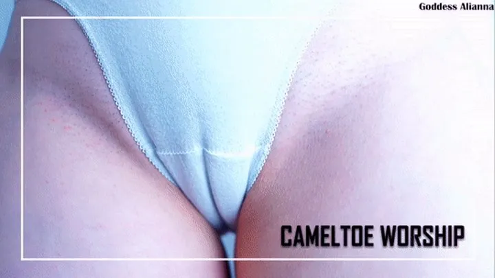 Cameltoe Worship Part 1