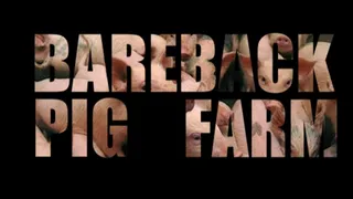 Bareback Pig Farm