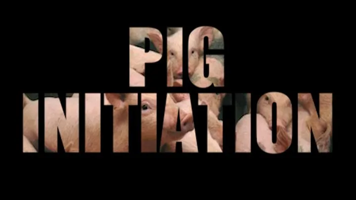 PIG initiation