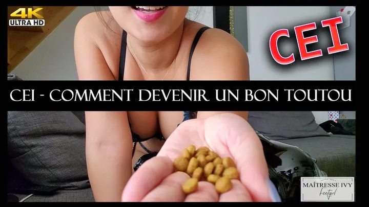 CEI - Comment devenir un bon toutou