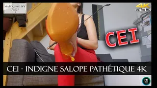 CEI - Indigne Salope Pathétique