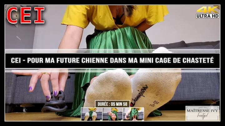 CEI - Pour ma future chienne dans ma mini cage de chasteté