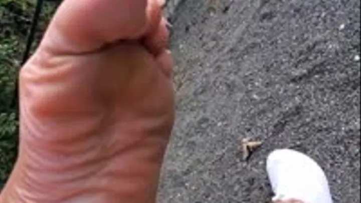 Nude Nail Dirty Foot Humiliation