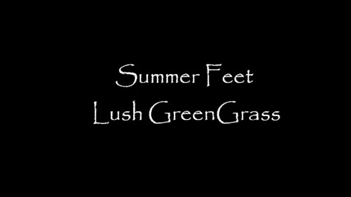 Summer Green Grass Play