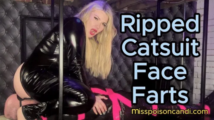 Ripped Catsuit Face Farts