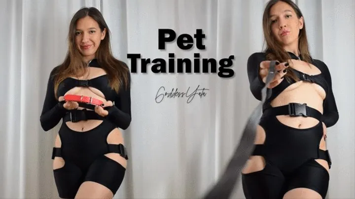 Pet Training