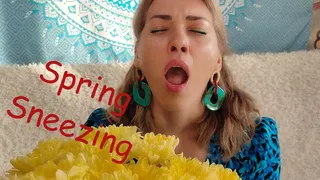 Spring sneezing