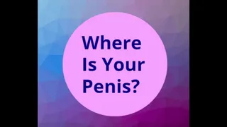 Where Is Your Penis? (Not Mesmerizing)