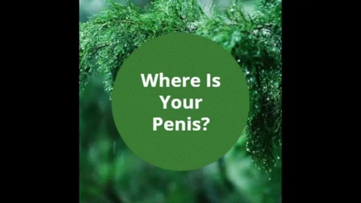 Where Is Your Penis (Mesmerize)