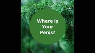Where Is Your Penis (Mesmerize)