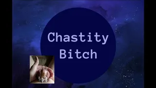 Chastity Bitch