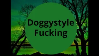 Doggystyle Fucking