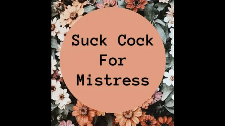 Suck Cock For Mistress