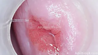 Cervix Magnified, Vagina, Clit, Urethra, and Dirty Talk