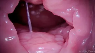Mesmerizing Immersion, Pulsing Cervix