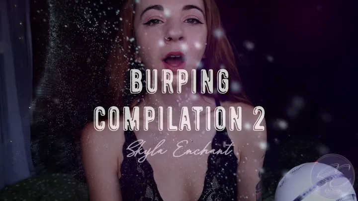 Burping Compilation 2