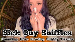 Sick Day Sniffles Sneezing and Nose Blowing