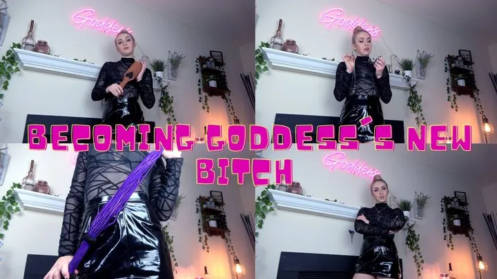 Becoming Goddess's New Bitch