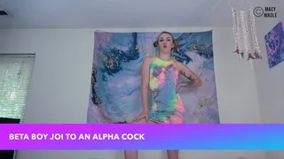 Beta Boys JOI to an Alpha Cock