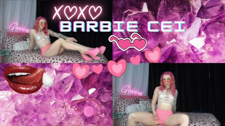 Barbie CEI