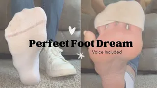 Perfect Foot Dream VOICE INCLUDED