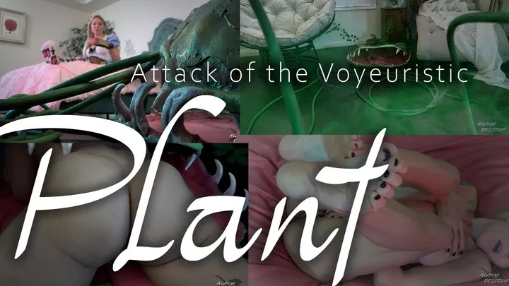 Attack of the Voyeuristic Plant