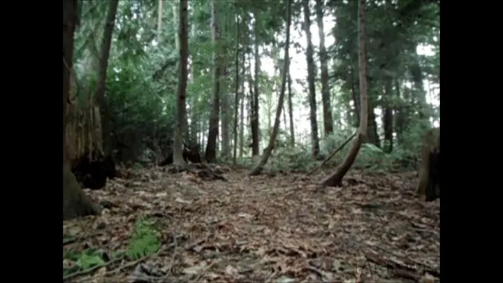 Forest Bondage 2