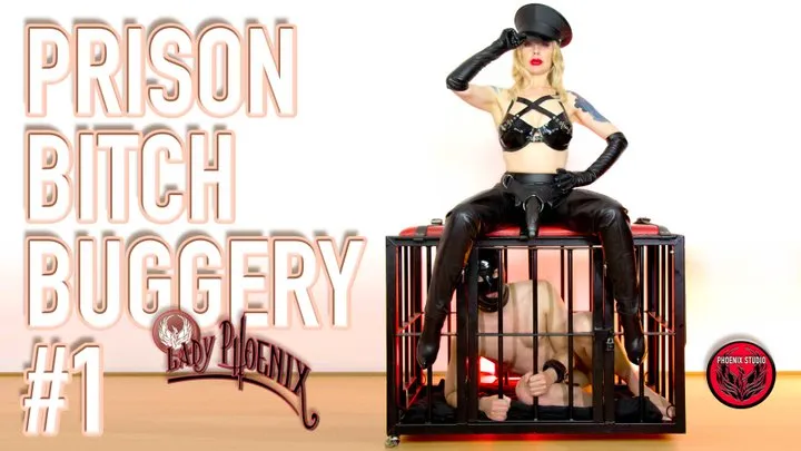 PRISON BITCH BUGGERY #1