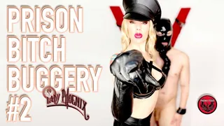 PRISON BITCH BUGGERY #2