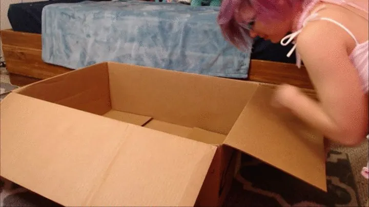 Naughty Neko Girl Plays in Box