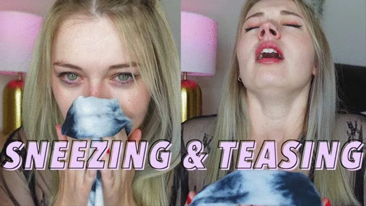 Sneezing And Teasing