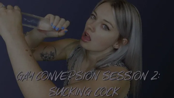 Gay Conversion Session 2 : Sucking Cock