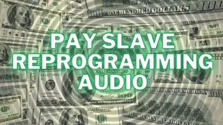 Pay Slave Reprogramming Audio (with visuals)