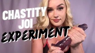 The Rubber Dick Illusion Experiment - Chastity JOI