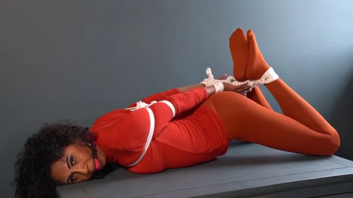 2207 Black Beauty in Orange Hogtie