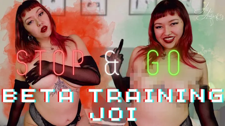 STOP & GO: Beta Training JOI