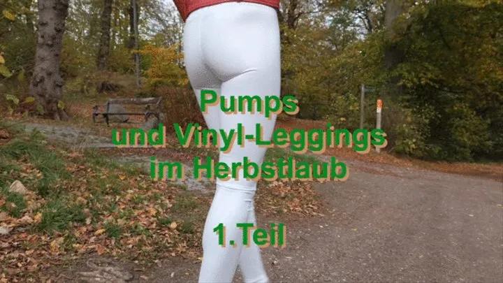 Pumps and vinyl leggings in autumn leaves, 1st part - Pumps und Vinyl-Leggings im Herbstlaub, Teil 1