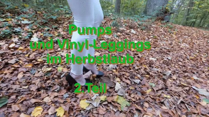 Pumps and vinyl leggings in autumn leaves, part 2 - Pumps und Vinyl-Leggings im Herbstlaub, Teil 2