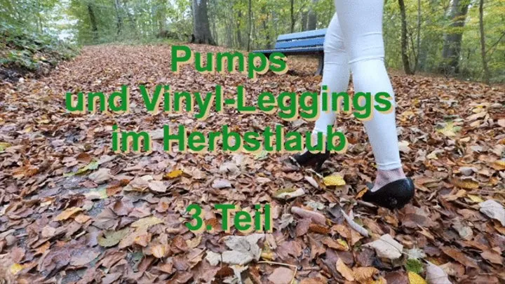 Pumps and vinyl leggings in autumn leaves, part 3 - Pumps und Vinyl-Leggings im Herbstlaub, Teil 3