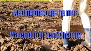 Wading through the mud - Waten durch den Schlamm