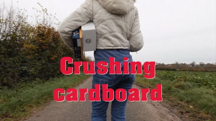 Crushing cardboard boxes - Kartons zertreten