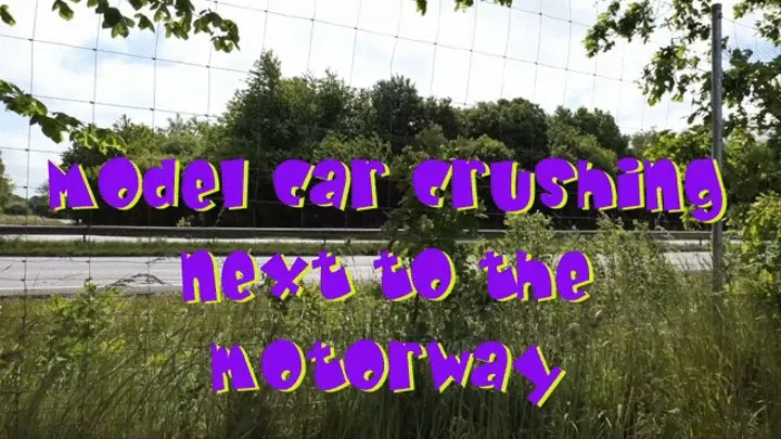 Model car crushing next to the motorway