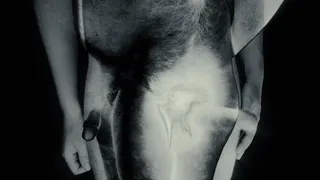 Cock and Booty SFX PMV B&W