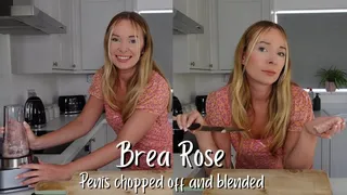 Penis chopped off and blended - penectomy