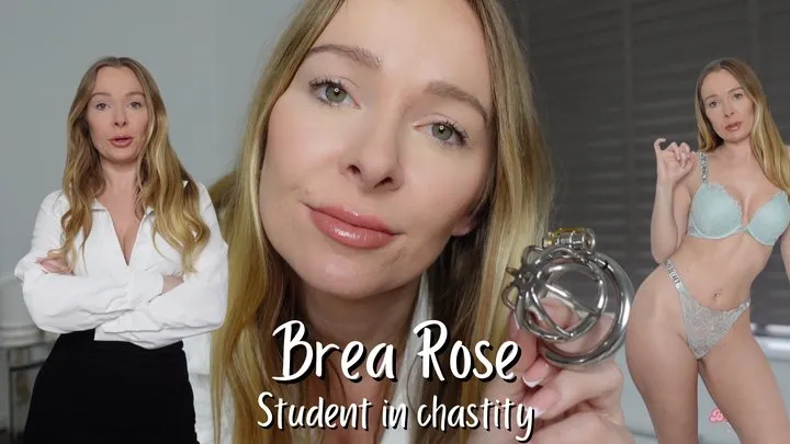 Student in chastity